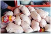قیمت جدید گوشت مرغ امروز ۲۷ بهمن ۱۴۰۴+جدول
